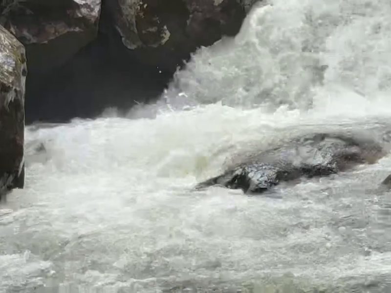 Whitewater rushing past a dark rock