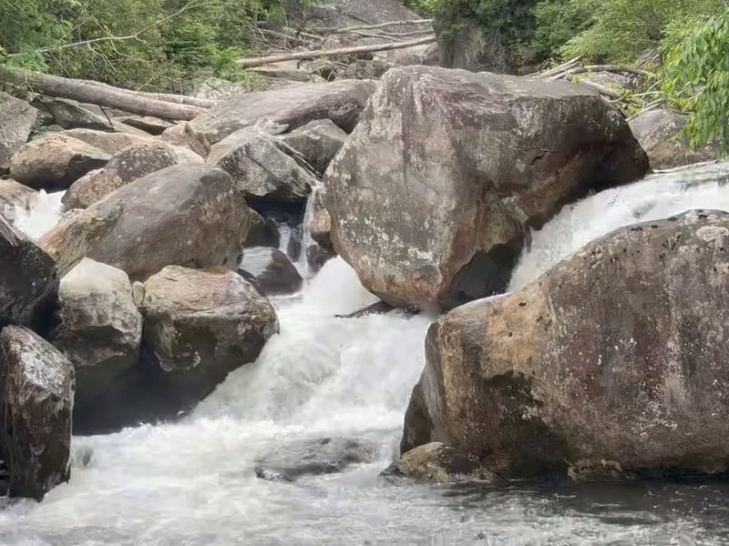 Water moving through and around large boulders in a mountain stream