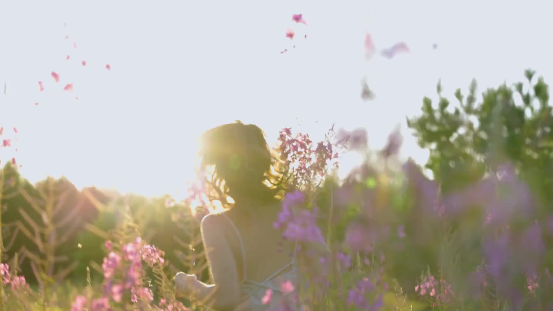 A lavender field at golden hour